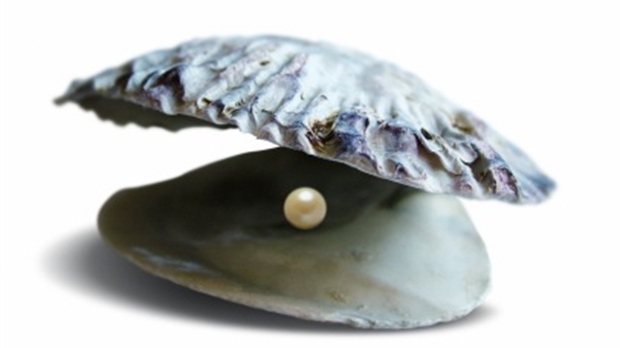 J’ai trouvé ma perle rare…et puis après ?