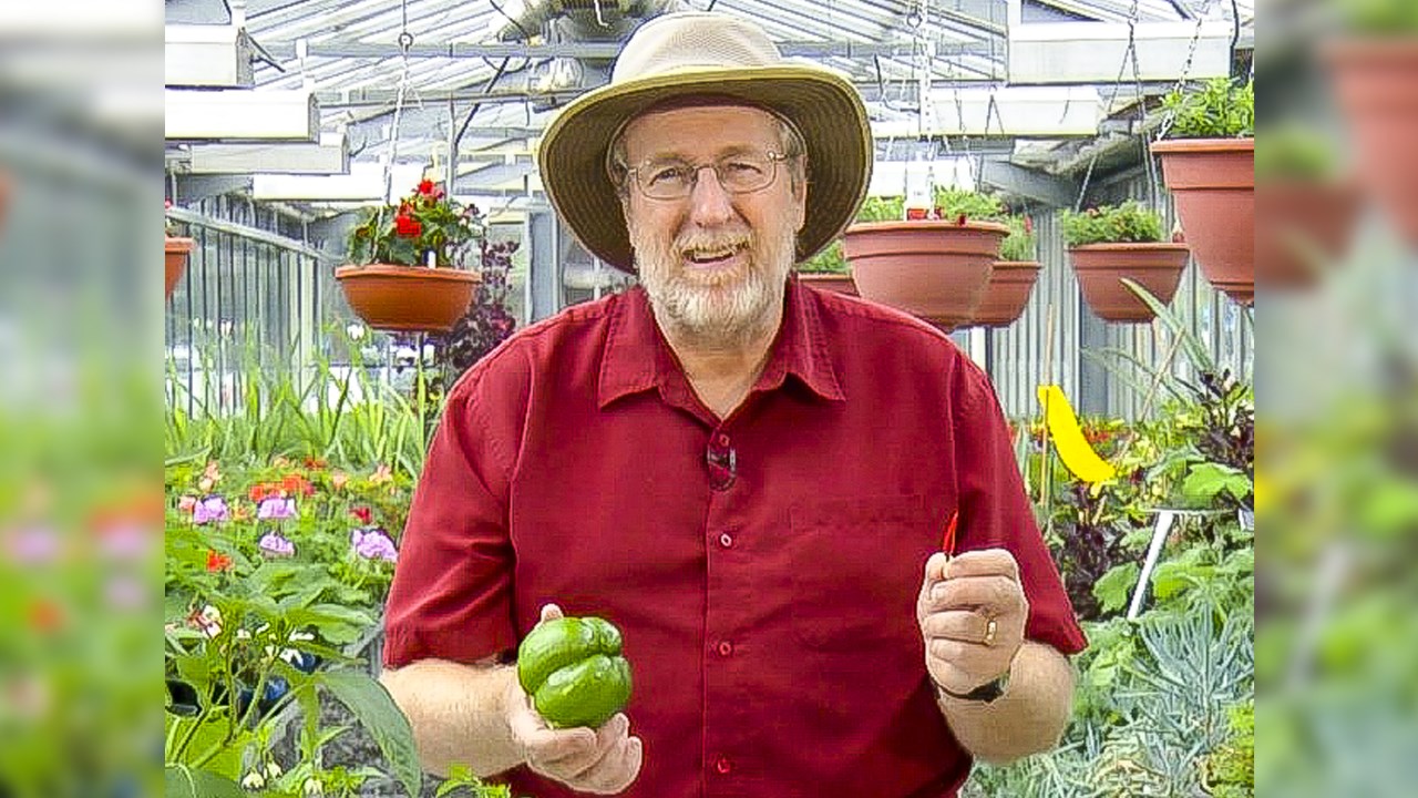 La Société d'horticulture de Beauceville recevra Larry Hodgson pour parler du potager - EnBeauce.com