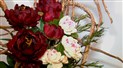 La pivoine sera à l’honneur en Beauce
