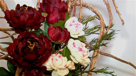 La pivoine sera à l’honneur en Beauce
