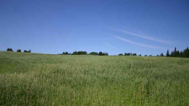 La Financière agricole du Québec a accordé 138 millions $ en prêt dans Chaudière-Appalaches