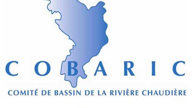 Un nouveau site Internet pour COBARIC