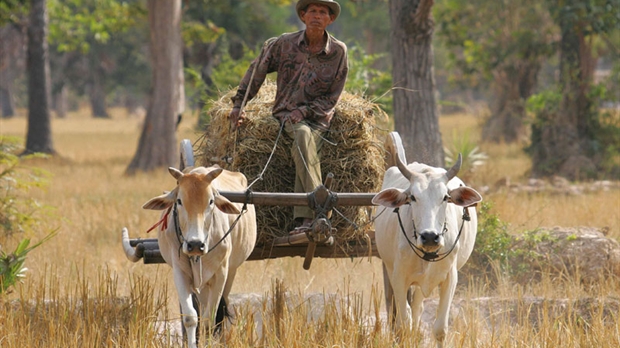 Cambodge, pays du sourire