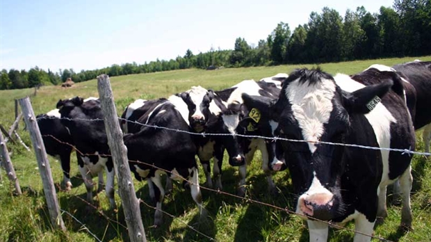Colloque en production laitière à Saint-Joseph : gestion, vision, mondialisation et engagement