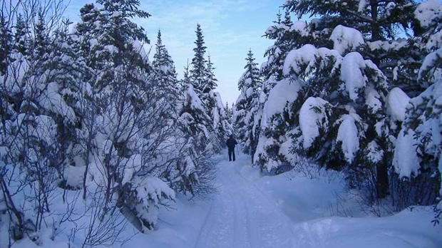 Fondeurs à vos skis!
