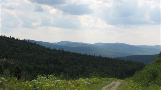 De nouveaux sentiers pour découvrir le trésor du Saint-Robert : le mont Bélanger