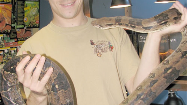 Une passion contagieuse pour les reptiles