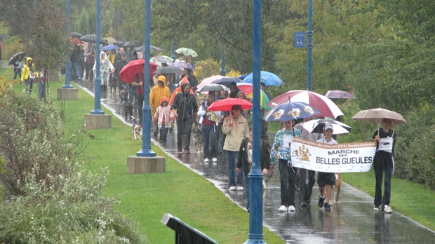 Les belles gueules marchent sous la pluie