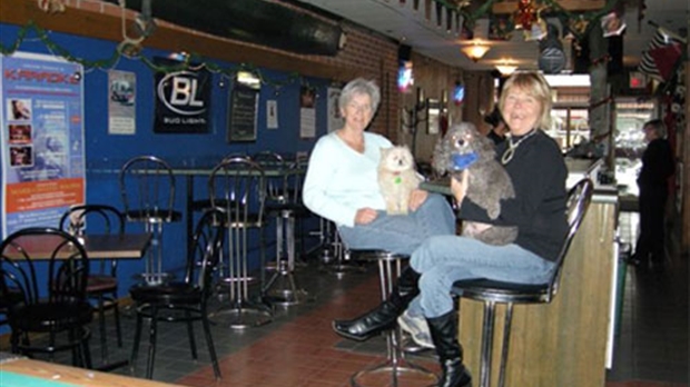 Déjeunez avec votre chien au restaurant pour la SPA