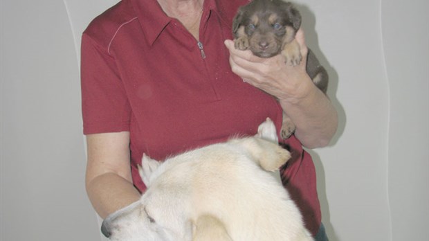 La population se mobilise pour sauver la SPA