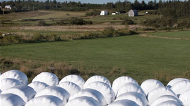 Saint-Georges récupérera les plastiques d’ensilage de foin