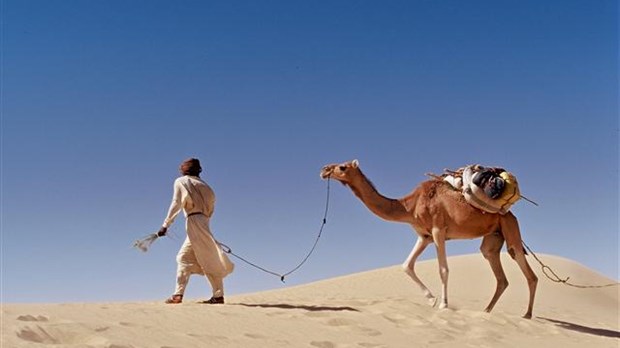 Le Sahara, là où vivre est un art