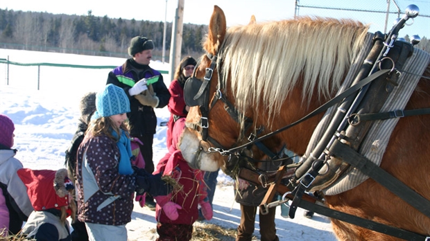 Le Carnaval d’hiver de Saint-Gédéon s’amorce ce vendredi