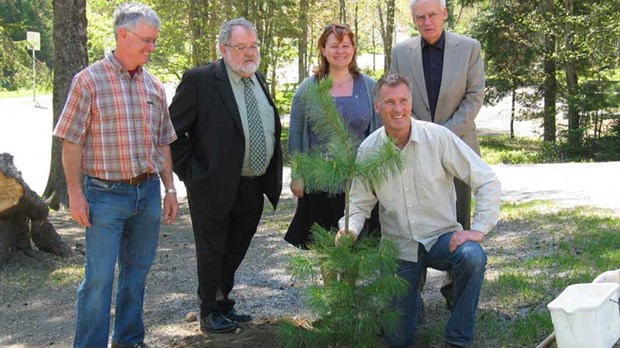 Saint-Georges demandera la certification FSC pour le parc des Sept-Chutes