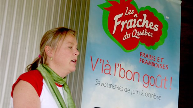 Une nouvelle marque : les fraîches du Québec
