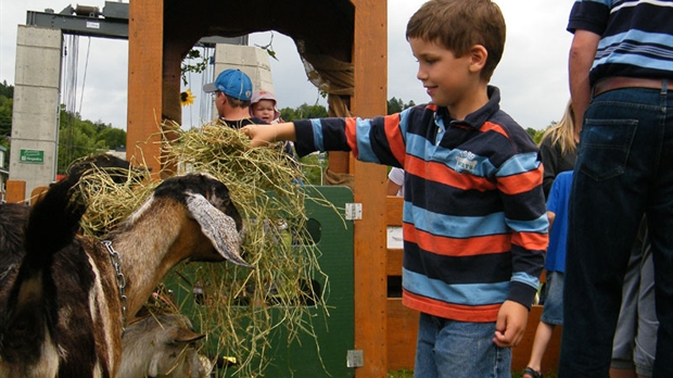 Quand l'humain rencontre l'animal de ferme