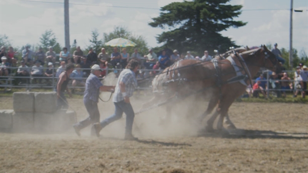 Le domaine agricole attire une foule impressionnante