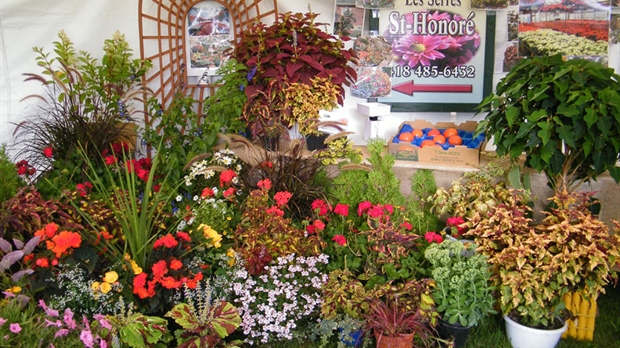 La foire horticole a de quoi faire fleurir la Beauce