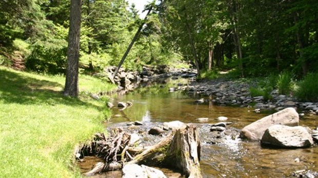 Un forum sur la gestion de l’eau à Scott