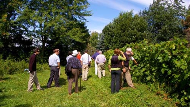 Prenez la route des vins