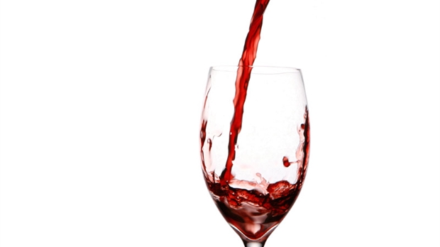 Créer et savourer du vin de qualité à moindre coût c’est très possible!