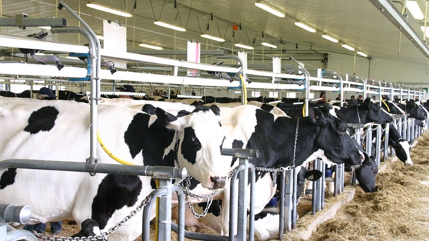 Les défis de l’avenir pour le 8e colloque sur la production laitière en Chaudière-Appalaches