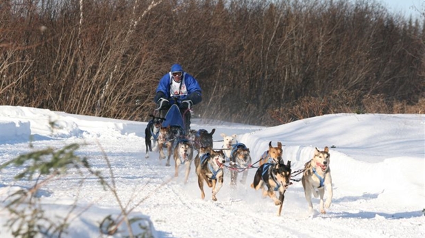 Plus de mille chiens attendus à Saint-Just-de-Bretenières dès vendredi