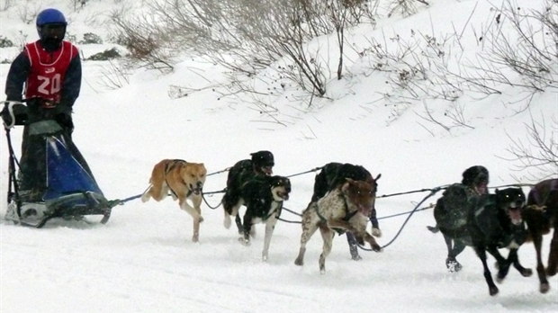 Les Internationaux de traîneau à chiens du Canada couronnés de succès