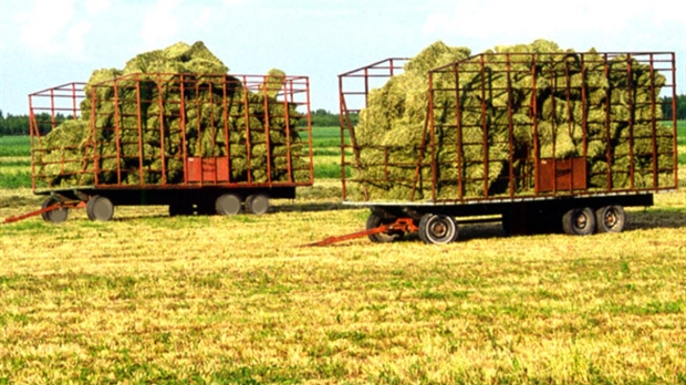 La Financière agricole a versé 23,6 M$  en 2009 aux producteurs de la région
