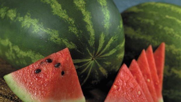 Lotion exfoliante visage et corps au melon d'eau