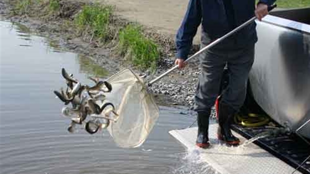 Une aide pour procurer du bon temps aux pêcheurs de la région