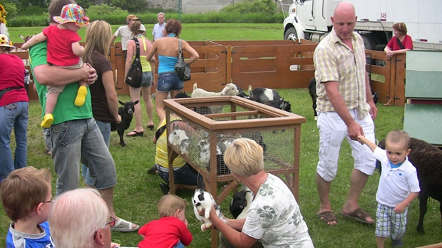 Un premier Week-end animé sur l’île ronde de Beauceville
