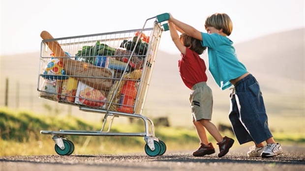 Les bons gras alimentaires : les bienfaits du DHA
