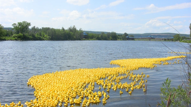 Une marée jaune sur la rivière Chaudière