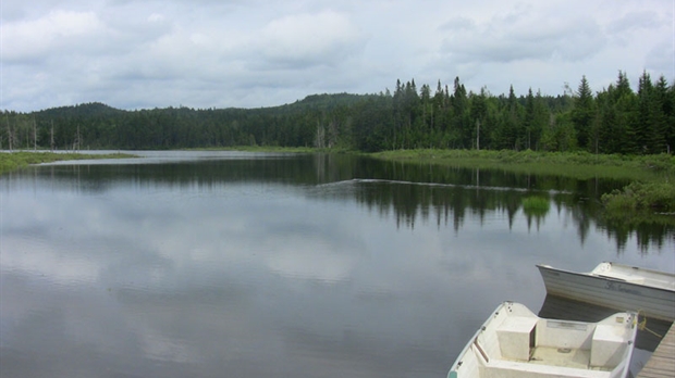 Entre les lacs et rivières, entre épinettes et bouleaux blancs, en plein cœur de la zec jaro