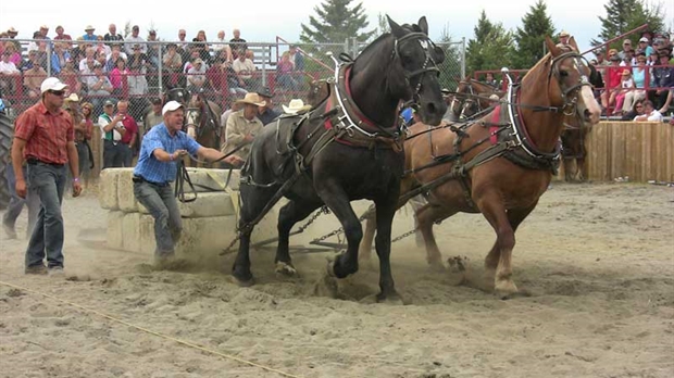 Fin spectaculaire pour Nashville en Beauce