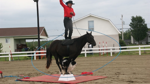 Mustang, un cheval intelligent