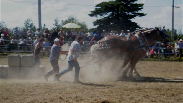 L'Exposition agricole de Beauce à Saint-Honoré approche au galop
