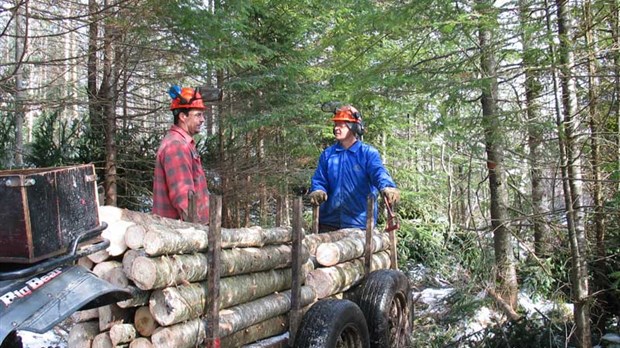 2,6 M$ pour stimuler le secteur forestier en Chaudière-Appalaches