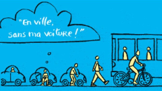 Transport collectif de Beauce mettra son grain de sel à la Journée mondiale « Sans ma voiture »