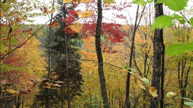 La Maison du tourisme propose un rallye automobile pour admirer la beauté de la région