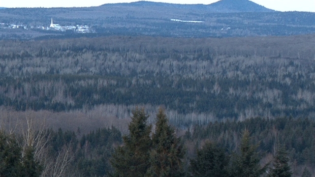 Golden Hope Mines poursuivra ses travaux de forage à Saint-Magloire en 2011