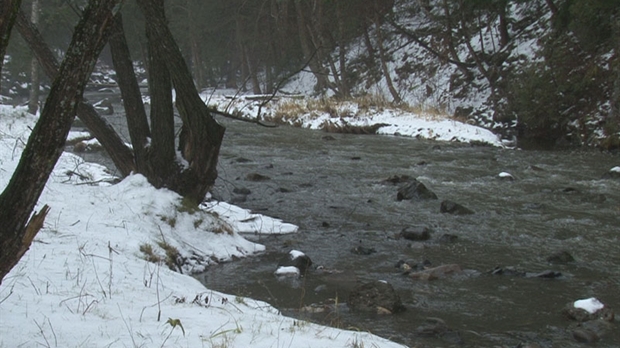 COBARIC revitalise le ruisseau d'Ardoise à Saint-Georges