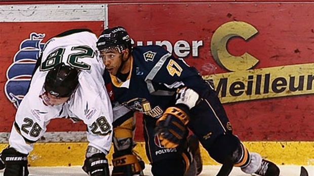 La téléréalité Montréal-Québec pourrait recruter dans la cour de la LNAH