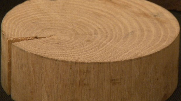 Un colloque sur la biomasse au Georgesville