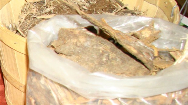 La biomasse forestière: une source alternative à ne pas négliger en Chaudière-Appalaches