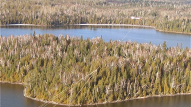 Geotech survole la Beauce à la recherche de gisements aurifères