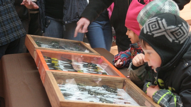 Le Carrefour Saint-Georges offrait une foule d’activités ce week-end