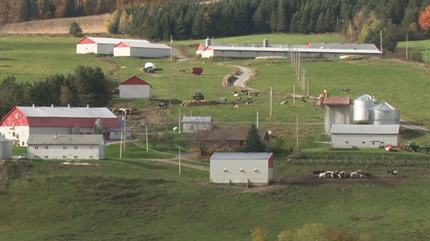 Financière agricole du Québec: L'année 2010 a été bonne pour les agriculteurs