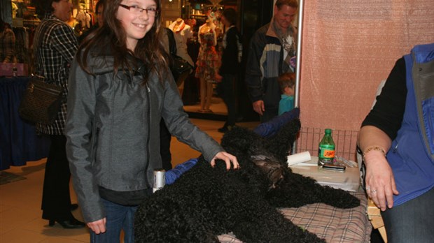 Salon Info-canin : Le chien, meilleur ami de l’homme
